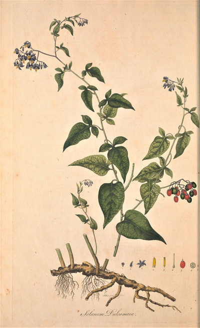 William Curtis, Flora Londinensis, v5 1777-1798